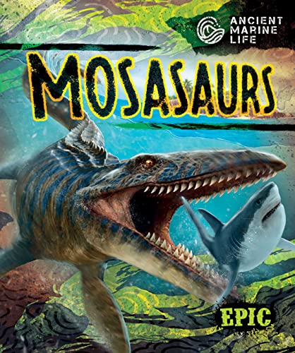 Mosasaurs (Anicent Marine Life)