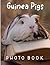 Guinea Pigs Photography Book by Brian Mark