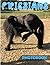 Friesians Photo Book: Sport...