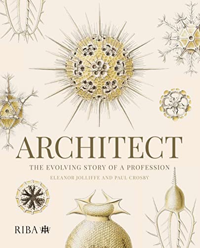Architect: The evolving story of a profession (Paperback)