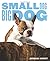Small Dog, Big Dog
