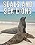 The Photo Of Seals And Sea ...