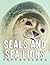 Picture Of Seals And Sea Li...