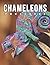 The Photo Of Chameleons: An...