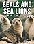 The Photo Of Seals And Sea ...