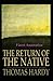 Return of the Native: Finest Annotation