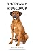 Rhodesian Ridgeback (Italian Edition)