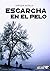 ESCARCHA EN EL PELO (Spanish Edition)