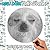 Ugly Dogs Spiroglyphics Col...