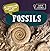 20 Things You Didn't Know about Fossils by Marie Morrison