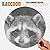 Raccoon Spiroglyphics Coloring Book by Nicky Sharp