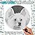 Ugly Dogs Spiroglyphics Col...