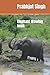 Elephant drawing book