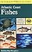 A Field Guide to Atlantic C...