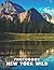 A Photo Book Of New York Wild & Scenic by Hadley Ortega
