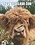 A Photo Book Of Baby Highland Cow by Emmanuel González