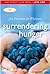 Surrendering Hunger: 365 Devotions for Wholeness