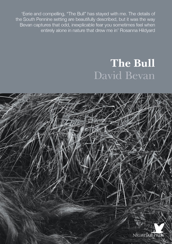 The Bull