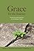 Grace for the Journey: Practices and Possibilities for In-Between Times