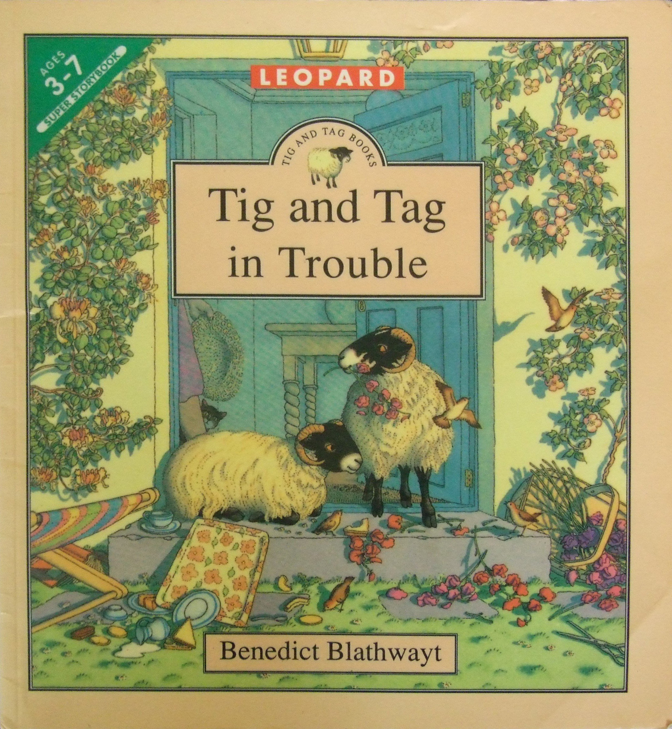 Tig and Tag in Trouble (Paperback)