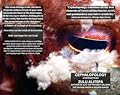 Cephalopology