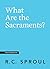What Are the Sacraments?