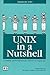 Unix in a Nutshell : System V v 2.0