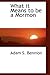 What It Means to Be a Mormon