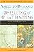 The Feeling of What Happens: Body and Emotion in the Making of Consciousness