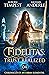 Fidelitas: Trust Realized (...