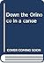 Down the Orinoco in a canoe