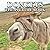 A Picture Book Of Donkeys: ...