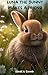 Luna The Bunny Makes A Friend by Daniel Conner