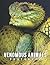 A Photo Book Of Venomous An...