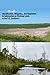 Identification, Mitigation, And Adaptation To Salinization On Working Lands In The U.S. Southeast.: Salinization Can Cause Billions Of Dollars Per Event In Damage To Agriculture And Forestry