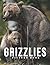 Picture Of Grizzlies by Nathaniel Wells