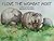 I Love the Wombat Most by Sandra M Bishop