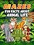 Mazes Fun Facts about Anima...