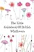 The Little Guidebook Of British Wildflowers by Stacey McCourt