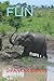 FUN by Dipankar Biswas