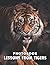 A Photo Book Of Lessons From Tigers by Joey Kramer