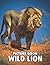 Picture Book Of Wild Lion: ...