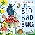 The Big Bad Bug by Kate Read