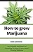 How to grow Marijuana: The ...