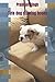 Cute dogs drawing book