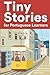 Tiny Stories for Portuguese...