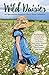 Wild Daisies by Jan Howery