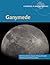 Ganymede by Martin Volwerk