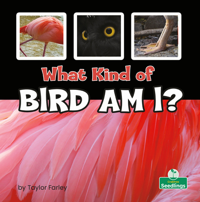 What Kind of Bird Am I? (What Am I?)