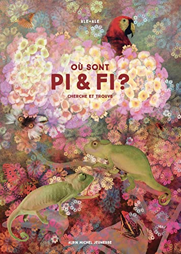 Où sont Pi et Fi ?: Cherche et trouve (Hardcover)